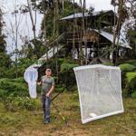 Collecting near an abandoned roadside bar in the middle of the forest on the barely used winding
mountain road from Zurmi (Rio Nangaritza) to the Rio Chumberiatza basin. I set up my tent inside the
bar. 1600m elevation.